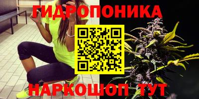 прущая мука Заводоуковск