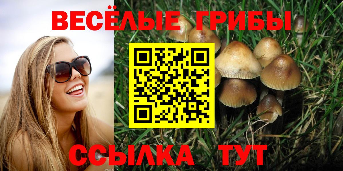 Междуреченск  Псилоцибиновые грибы Psilocybe  Вход с VPN  Галлюциногенные грибы мицелий 
